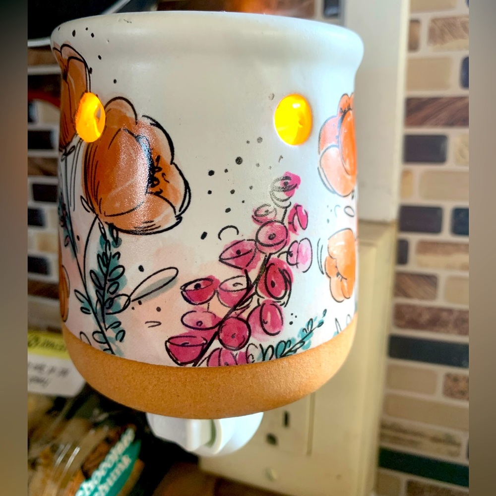 Plug in light & oil burner